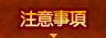 注意事項